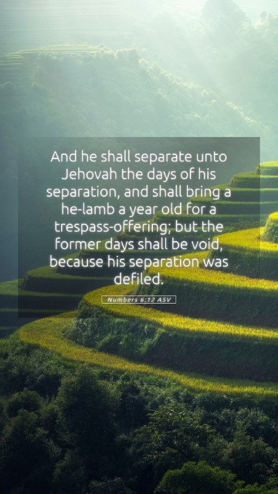 Picture 05 - Numbers 6:12 ASV Mobile Phone Wallpaper - And he shall separate unto Jehovah the days of - Mobile Bible Verse Wallpaper