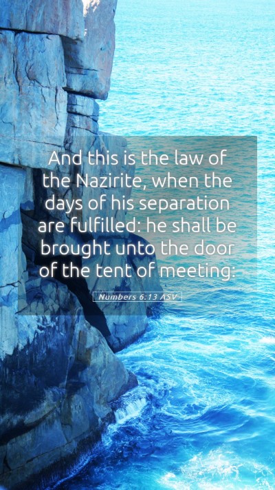 Picture 05 - Numbers 6:13 ASV Mobile Phone Wallpaper - And this is the law of the Nazirite, when the - Mobile Bible Verse Wallpaper