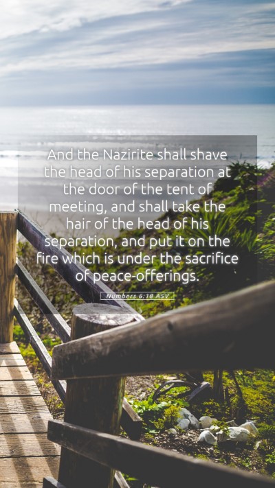 Picture 05 - Numbers 6:18 ASV Mobile Phone Wallpaper - And the Nazirite shall shave the head of his - Mobile Bible Verse Wallpaper