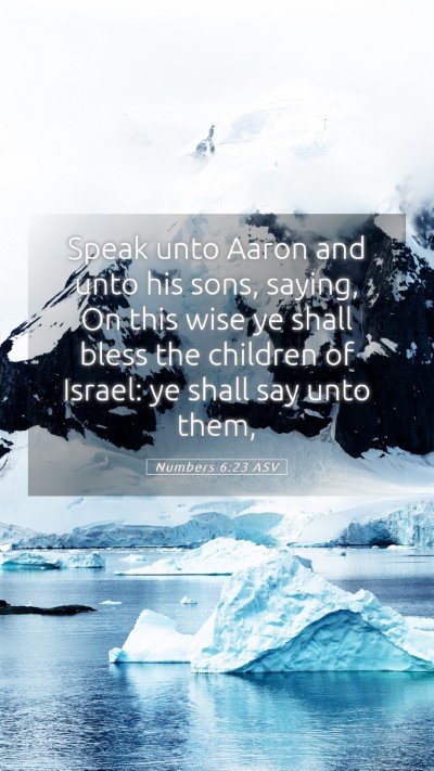 Picture 05 - Numbers 6:23 ASV Mobile Phone Wallpaper - Speak unto Aaron and unto his sons, saying, On - Mobile Bible Verse Wallpaper