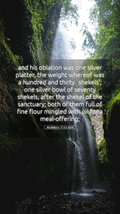 Picture 05 - Numbers 7:13 ASV Mobile Phone Wallpaper - and his oblation was one silver platter, the - Mobile Bible Verse Wallpaper