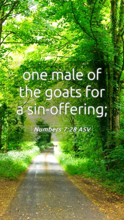Picture 05 - Numbers 7:28 ASV Mobile Phone Wallpaper - one male of the goats for a - Mobile Bible Verse Wallpaper