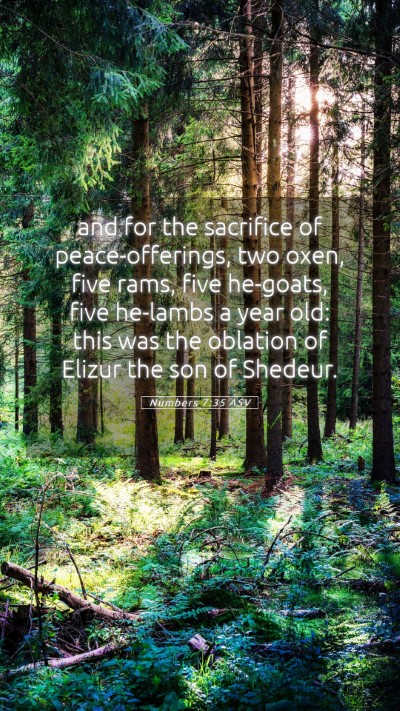 Picture 05 - Numbers 7:35 ASV Mobile Phone Wallpaper - and for the sacrifice of peace-offerings, two - Mobile Bible Verse Wallpaper