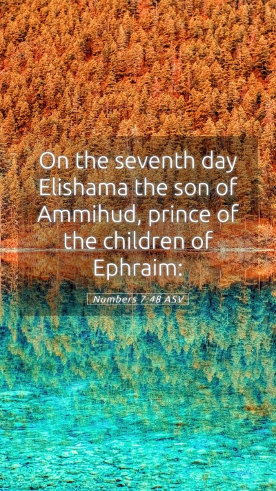 Picture 05 - Numbers 7:48 ASV Mobile Phone Wallpaper - On the seventh day Elishama the son of Ammihud, - Mobile Bible Verse Wallpaper