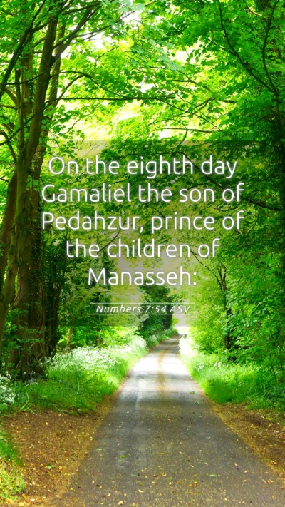 Picture 05 - Numbers 7:54 ASV Mobile Phone Wallpaper - On the eighth day Gamaliel the son of Pedahzur, - Mobile Bible Verse Wallpaper