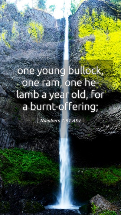 Picture 05 - Numbers 7:81 ASV Mobile Phone Wallpaper - one young bullock, one ram, one he-lamb a year - Mobile Bible Verse Wallpaper