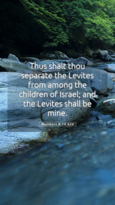 Picture 05 - Numbers 8:14 ASV Mobile Phone Wallpaper - Thus shalt thou separate the Levites from among - Mobile Bible Verse Wallpaper