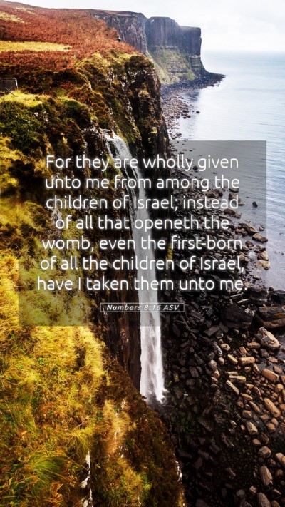 Picture 05 - Numbers 8:16 ASV Mobile Phone Wallpaper - For they are wholly given unto me from among the - Mobile Bible Verse Wallpaper