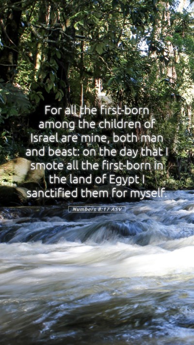 Picture 05 - Numbers 8:17 ASV Mobile Phone Wallpaper - For all the first-born among the children of - Mobile Bible Verse Wallpaper
