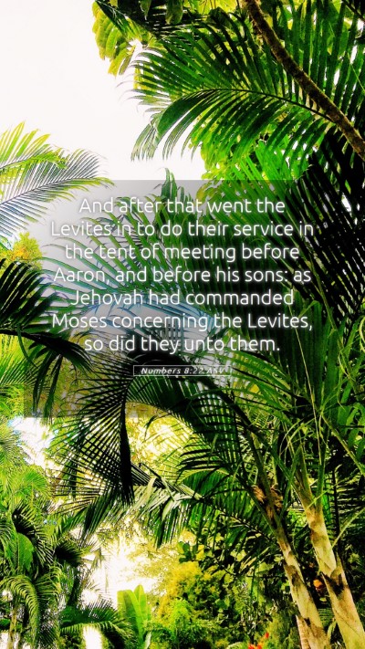 Picture 05 - Numbers 8:22 ASV Mobile Phone Wallpaper - And after that went the Levites in to do their - Mobile Bible Verse Wallpaper