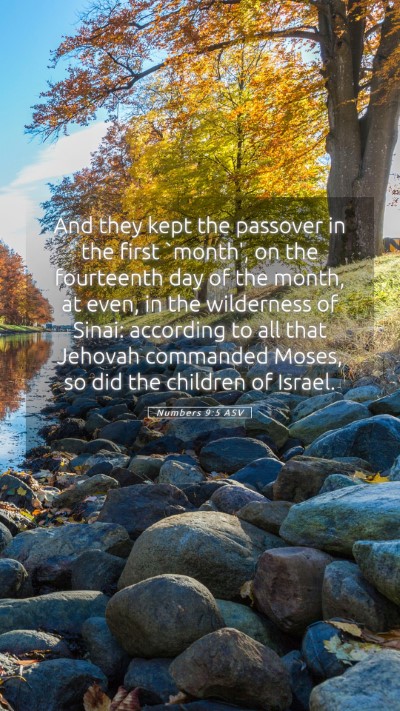 Picture 05 - Numbers 9:5 ASV Mobile Phone Wallpaper - And they kept the passover in the first `month', - Mobile Bible Verse Wallpaper