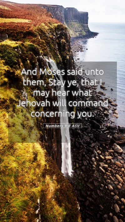 Picture 05 - Numbers 9:8 ASV Mobile Phone Wallpaper - And Moses said unto them, Stay ye, that I may - Mobile Bible Verse Wallpaper
