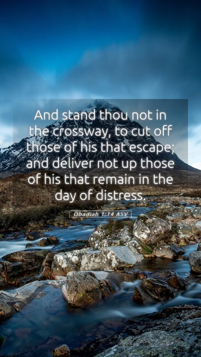 Picture 05 - Obadiah 1:14 ASV Mobile Phone Wallpaper - And stand thou not in the crossway, to cut off - Mobile Bible Verse Wallpaper