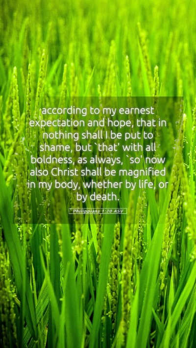 Picture 05 - Philippians 1:20 ASV Mobile Phone Wallpaper - according to my earnest expectation and hope, - Mobile Bible Verse Wallpaper