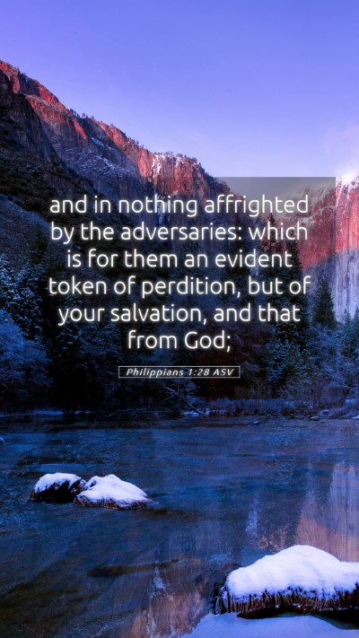 Picture 05 - Philippians 1:28 ASV Mobile Phone Wallpaper - and in nothing affrighted by the adversaries: - Mobile Bible Verse Wallpaper