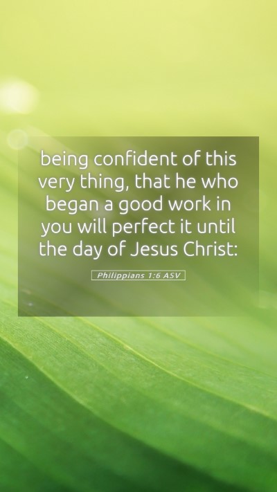 Picture 05 - Philippians 1:6 ASV Mobile Phone Wallpaper - being confident of this very thing, that he who - Mobile Bible Verse Wallpaper