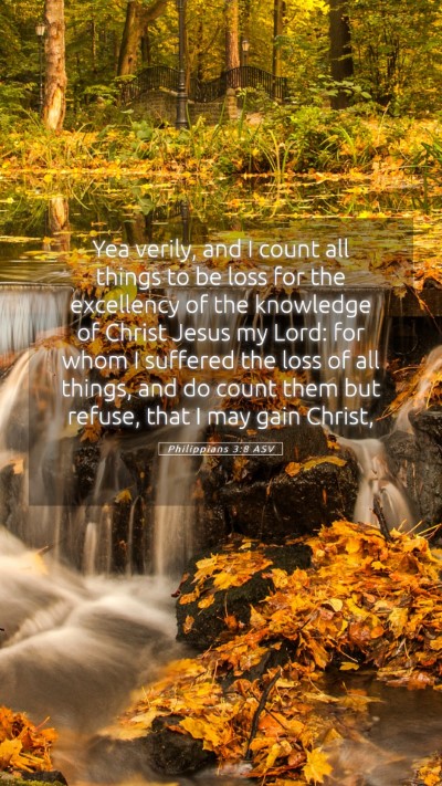 Picture 05 - Philippians 3:8 ASV Mobile Phone Wallpaper - Yea verily, and I count all things to be loss for - Mobile Bible Verse Wallpaper