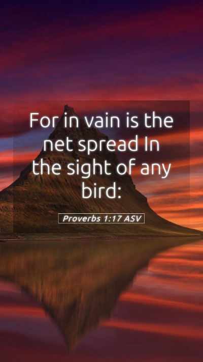 Picture 05 - Proverbs 1:17 ASV Mobile Phone Wallpaper - For in vain is the net spread In the sight of any - Mobile Bible Verse Wallpaper