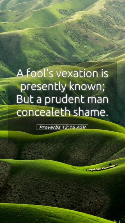 Picture 05 - Proverbs 12:16 ASV Mobile Phone Wallpaper - A fool's vexation is presently known; But a - Mobile Bible Verse Wallpaper