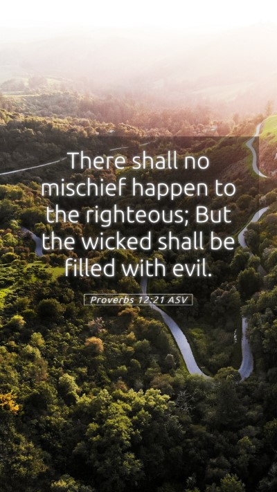 Picture 05 - Proverbs 12:21 ASV Mobile Phone Wallpaper - There shall no mischief happen to the righteous; - Mobile Bible Verse Wallpaper