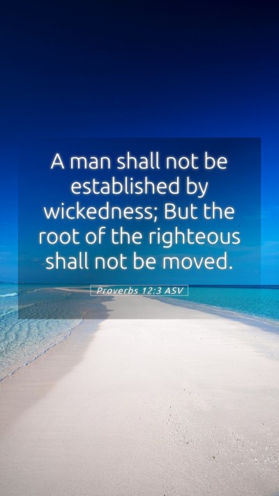Picture 05 - Proverbs 12:3 ASV Mobile Phone Wallpaper - A man shall not be established by wickedness; But - Mobile Bible Verse Wallpaper
