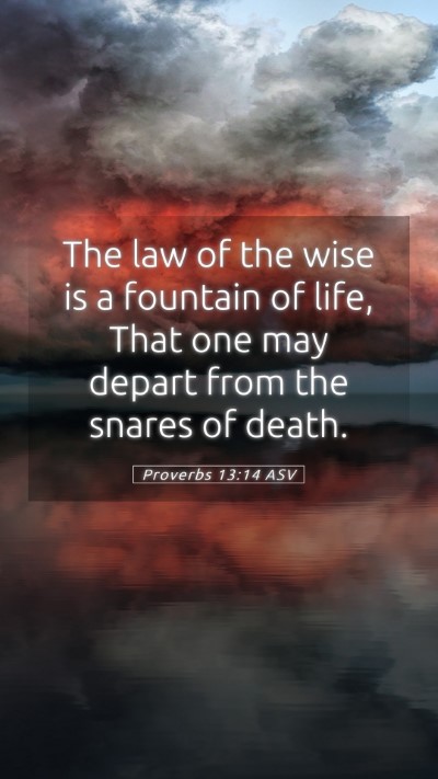 Picture 05 - Proverbs 13:14 ASV Mobile Phone Wallpaper - The law of the wise is a fountain of life, That - Mobile Bible Verse Wallpaper