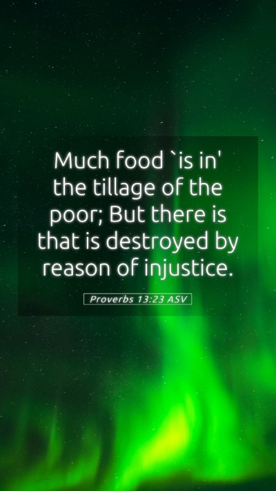 Picture 05 - Proverbs 13:23 ASV Mobile Phone Wallpaper - Much food `is in' the tillage of the poor; But - Mobile Bible Verse Wallpaper