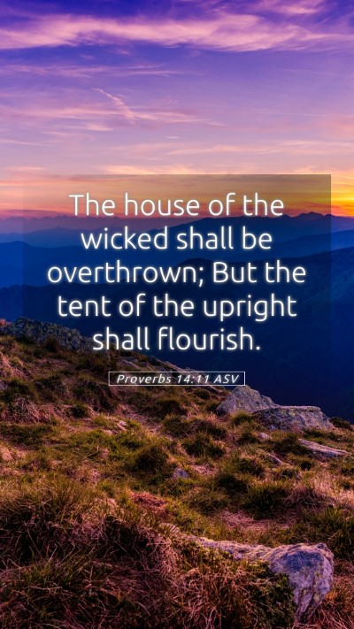 Picture 05 - Proverbs 14:11 ASV Mobile Phone Wallpaper - The house of the wicked shall be overthrown; But - Mobile Bible Verse Wallpaper