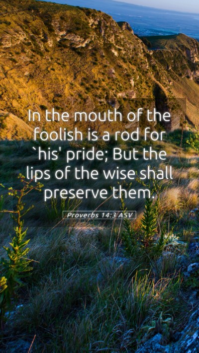 Picture 05 - Proverbs 14:3 ASV Mobile Phone Wallpaper - In the mouth of the foolish is a rod for `his' - Mobile Bible Verse Wallpaper