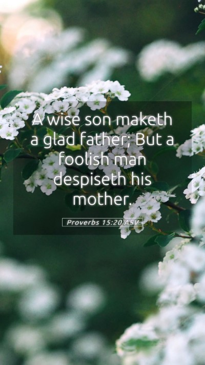 Picture 05 - Proverbs 15:20 ASV Mobile Phone Wallpaper - A wise son maketh a glad father; But a foolish - Mobile Bible Verse Wallpaper