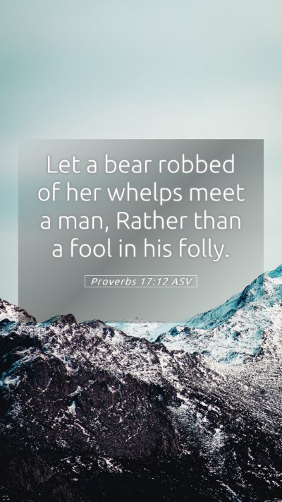 Picture 05 - Proverbs 17:12 ASV Mobile Phone Wallpaper - Let a bear robbed of her whelps meet a man, - Mobile Bible Verse Wallpaper