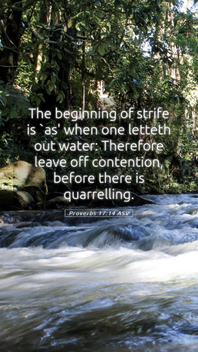 Picture 05 - Proverbs 17:14 ASV Mobile Phone Wallpaper - The beginning of strife is `as' when one letteth - Mobile Bible Verse Wallpaper