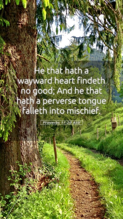 Picture 05 - Proverbs 17:20 ASV Mobile Phone Wallpaper - He that hath a wayward heart findeth no good; And - Mobile Bible Verse Wallpaper