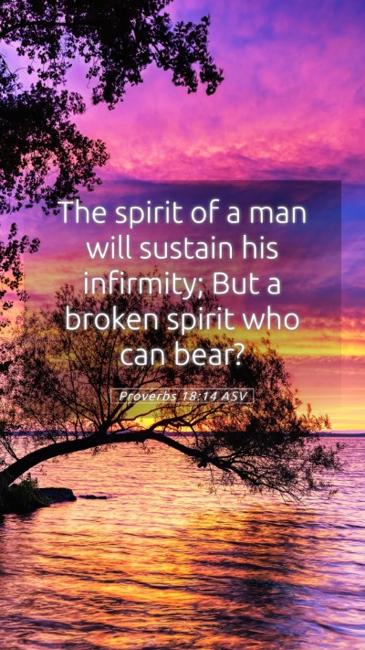 Picture 05 - Proverbs 18:14 ASV Mobile Phone Wallpaper - The spirit of a man will sustain his infirmity; - Mobile Bible Verse Wallpaper