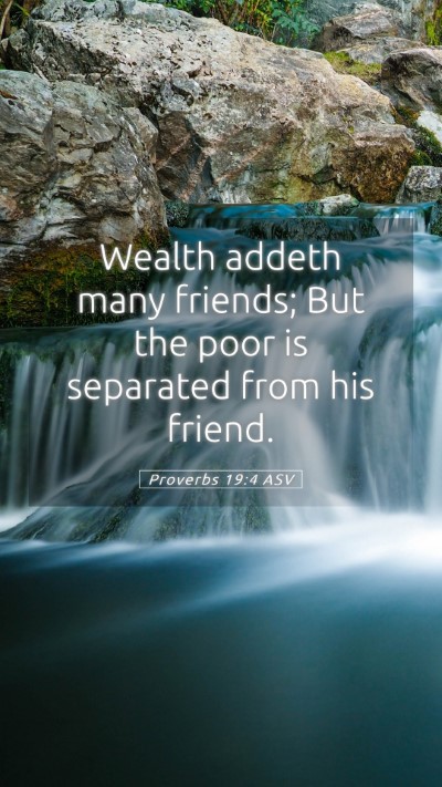 Picture 05 - Proverbs 19:4 ASV Mobile Phone Wallpaper - Wealth addeth many friends; But the poor is - Mobile Bible Verse Wallpaper