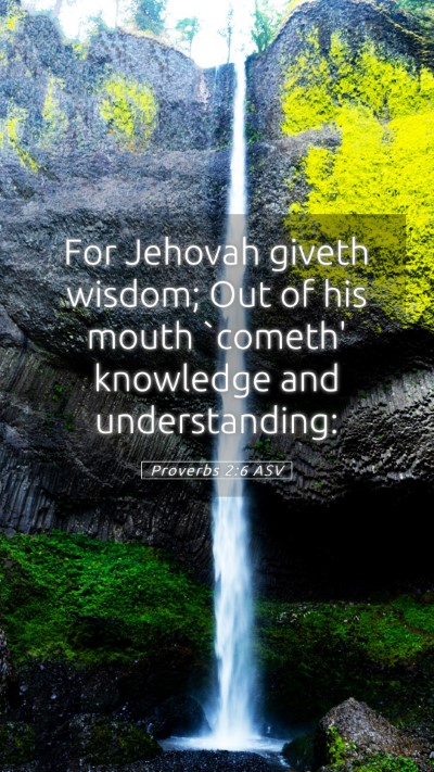 Picture 05 - Proverbs 2:6 ASV Mobile Phone Wallpaper - For Jehovah giveth wisdom; Out of his mouth - Mobile Bible Verse Wallpaper