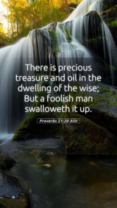 Picture 05 - Proverbs 21:20 ASV Mobile Phone Wallpaper - There is precious treasure and oil in the - Mobile Bible Verse Wallpaper
