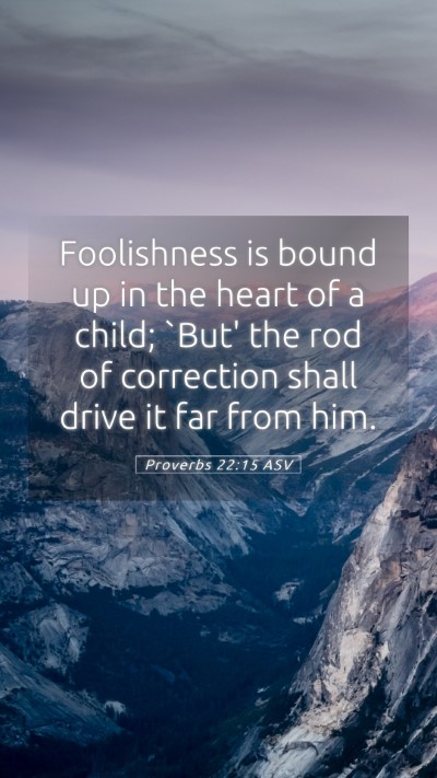 Picture 05 - Proverbs 22:15 ASV Mobile Phone Wallpaper - Foolishness is bound up in the heart of a child; - Mobile Bible Verse Wallpaper