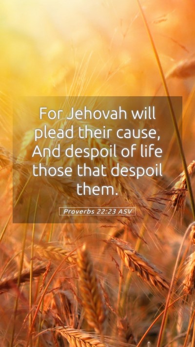 Picture 05 - Proverbs 22:23 ASV Mobile Phone Wallpaper - For Jehovah will plead their cause, And despoil - Mobile Bible Verse Wallpaper