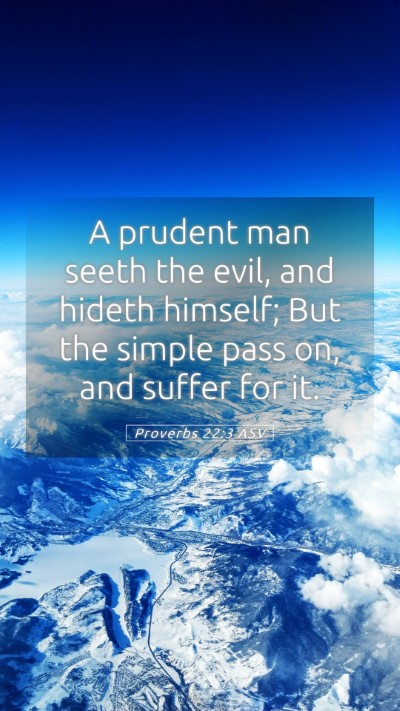 Picture 05 - Proverbs 22:3 ASV Mobile Phone Wallpaper - A prudent man seeth the evil, and hideth himself; - Mobile Bible Verse Wallpaper