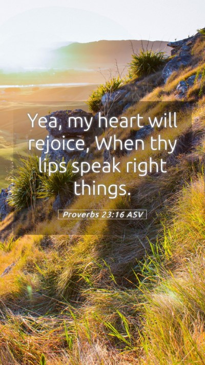 Picture 05 - Proverbs 23:16 ASV Mobile Phone Wallpaper - Yea, my heart will rejoice, When thy lips speak - Mobile Bible Verse Wallpaper