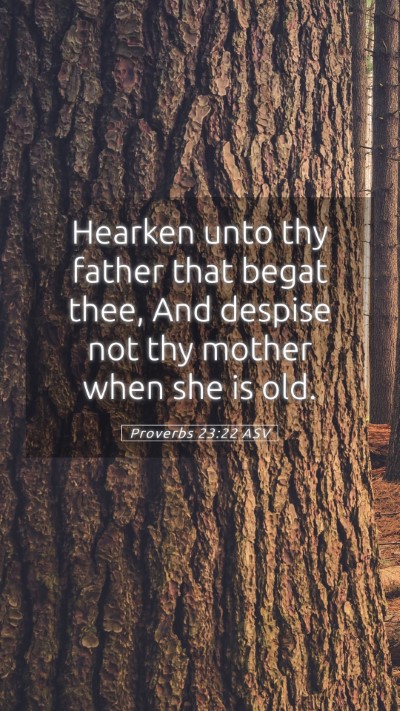Picture 05 - Proverbs 23:22 ASV Mobile Phone Wallpaper - Hearken unto thy father that begat thee, And - Mobile Bible Verse Wallpaper