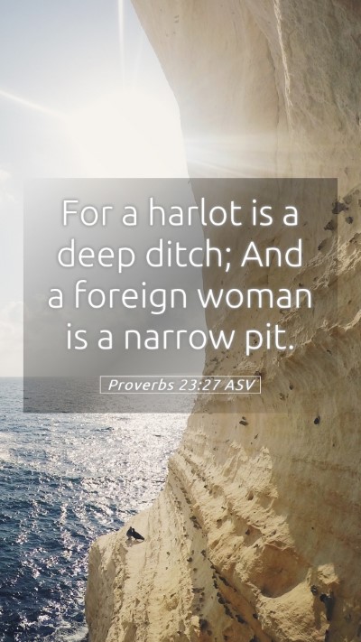 Picture 05 - Proverbs 23:27 ASV Mobile Phone Wallpaper - For a harlot is a deep ditch; And a foreign woman - Mobile Bible Verse Wallpaper