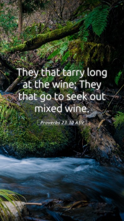 Picture 05 - Proverbs 23:30 ASV Mobile Phone Wallpaper - They that tarry long at the wine; They that go to - Mobile Bible Verse Wallpaper