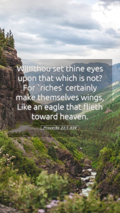 Picture 05 - Proverbs 23:5 ASV Mobile Phone Wallpaper - Wilt thou set thine eyes upon that which is not? - Mobile Bible Verse Wallpaper