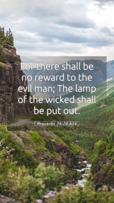 Picture 05 - Proverbs 24:20 ASV Mobile Phone Wallpaper - For there shall be no reward to the evil man; The - Mobile Bible Verse Wallpaper