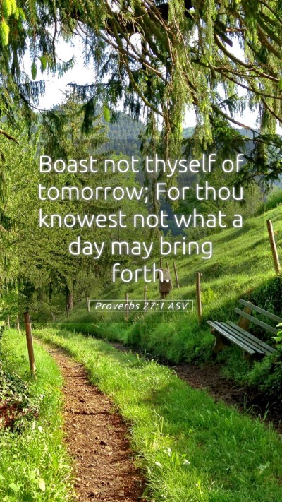 Picture 05 - Proverbs 27:1 ASV Mobile Phone Wallpaper - Boast not thyself of tomorrow; For thou knowest - Mobile Bible Verse Wallpaper
