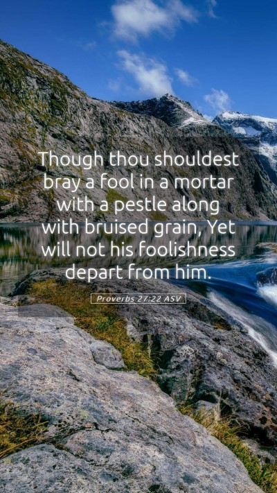 Picture 05 - Proverbs 27:22 ASV Mobile Phone Wallpaper - Though thou shouldest bray a fool in a mortar - Mobile Bible Verse Wallpaper