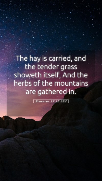 Picture 05 - Proverbs 27:25 ASV Mobile Phone Wallpaper - The hay is carried, and the tender grass showeth - Mobile Bible Verse Wallpaper