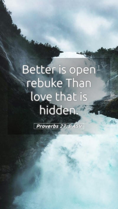 Picture 05 - Proverbs 27:5 ASV Mobile Phone Wallpaper - Better is open rebuke Than love that is - Mobile Bible Verse Wallpaper